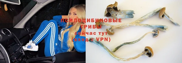 круглые Богородск
