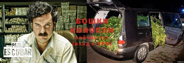 стаф Богданович
