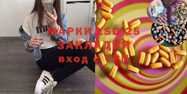 стаф Богданович