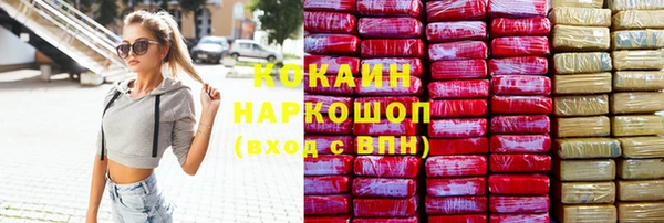 стаф Богданович