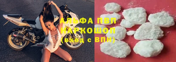 стаф Богданович