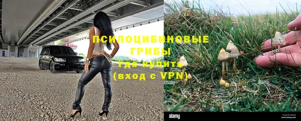 ГАЛЛЮЦИНОГЕННЫЕ ГРИБЫ Белоозёрский