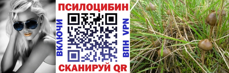 мориарти клад  Октябрьский  Галлюциногенные грибы прущие грибы 