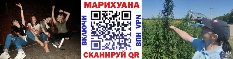 Конопля Amnesia  Октябрьский 